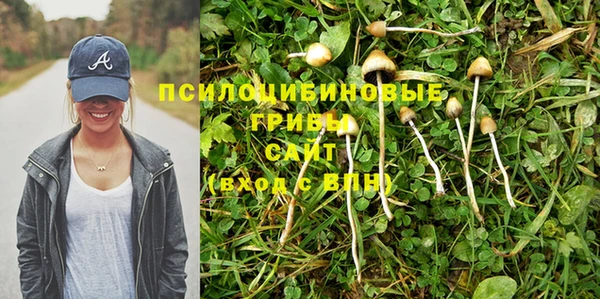 бутират Бородино