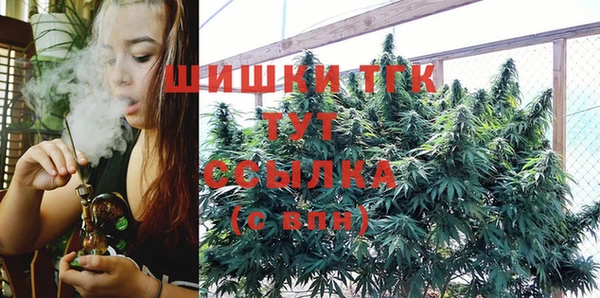 дурь Бронницы