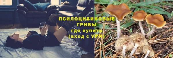 дурь Бронницы